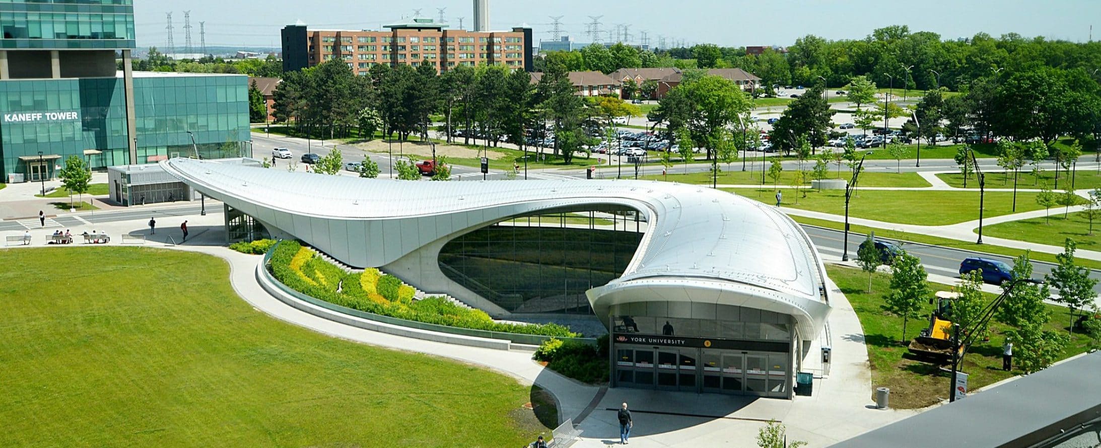 York University