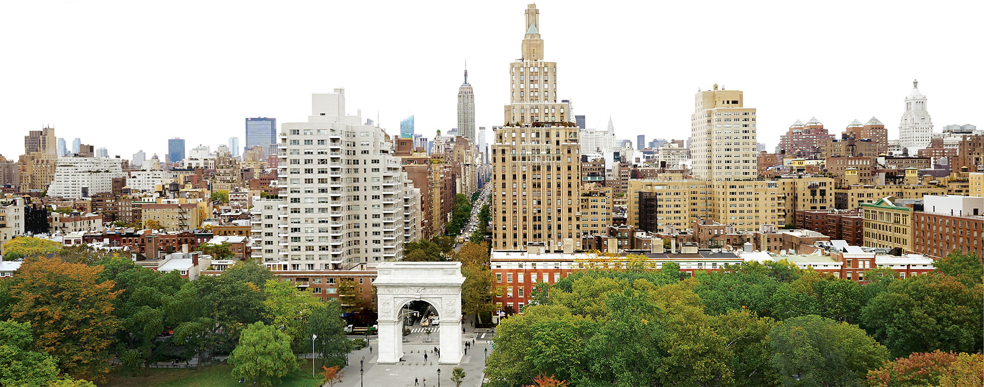 New York University (Grossman)