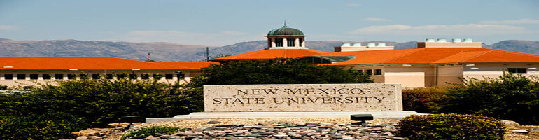 New Mexico State University