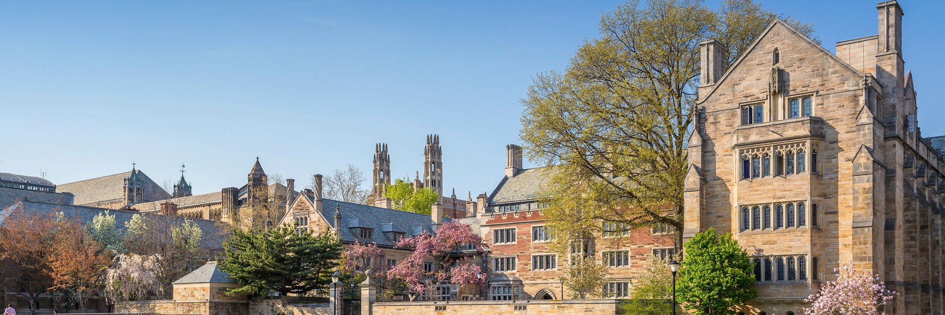 Yale University